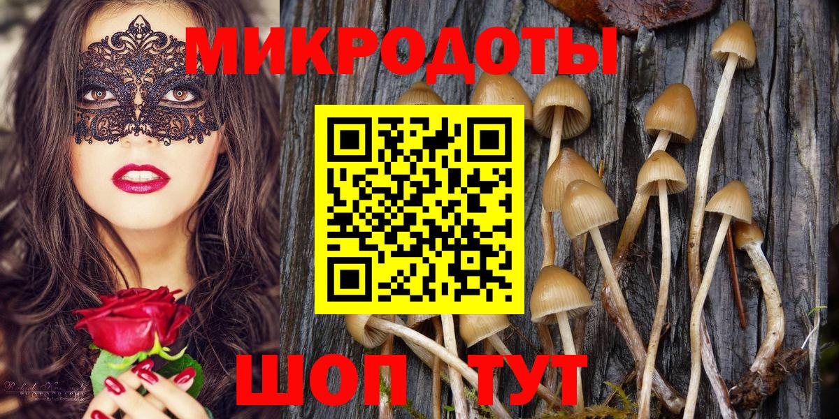 Моздок  где можно купить   Вход с VPN  Псилоцибиновые грибы MAGIC MUSHROOMS 