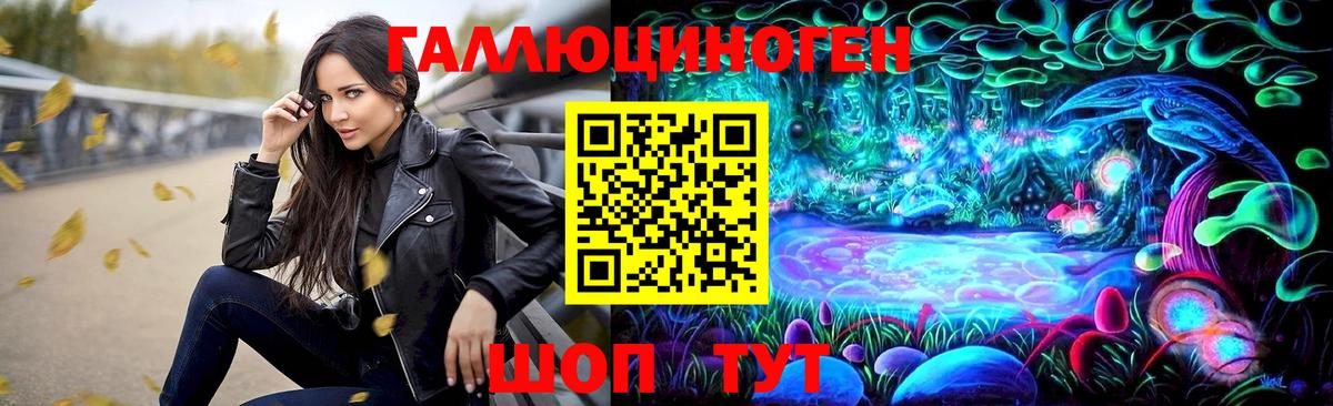 Псилоцибиновые грибы Psilocybe Моздок